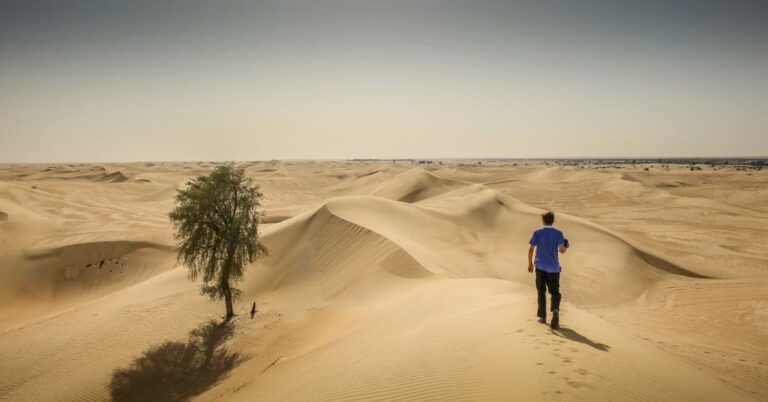 A Guide To Ultimate Desert Experience in Sharm El Sheikh