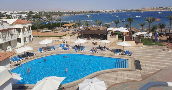 Marina Sharm Hotel בריכה
