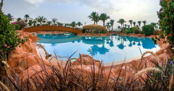 Regency Plaza Aqua Park and Spa Resort בריכה
